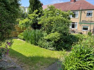 Photo 3- click for photo gallery